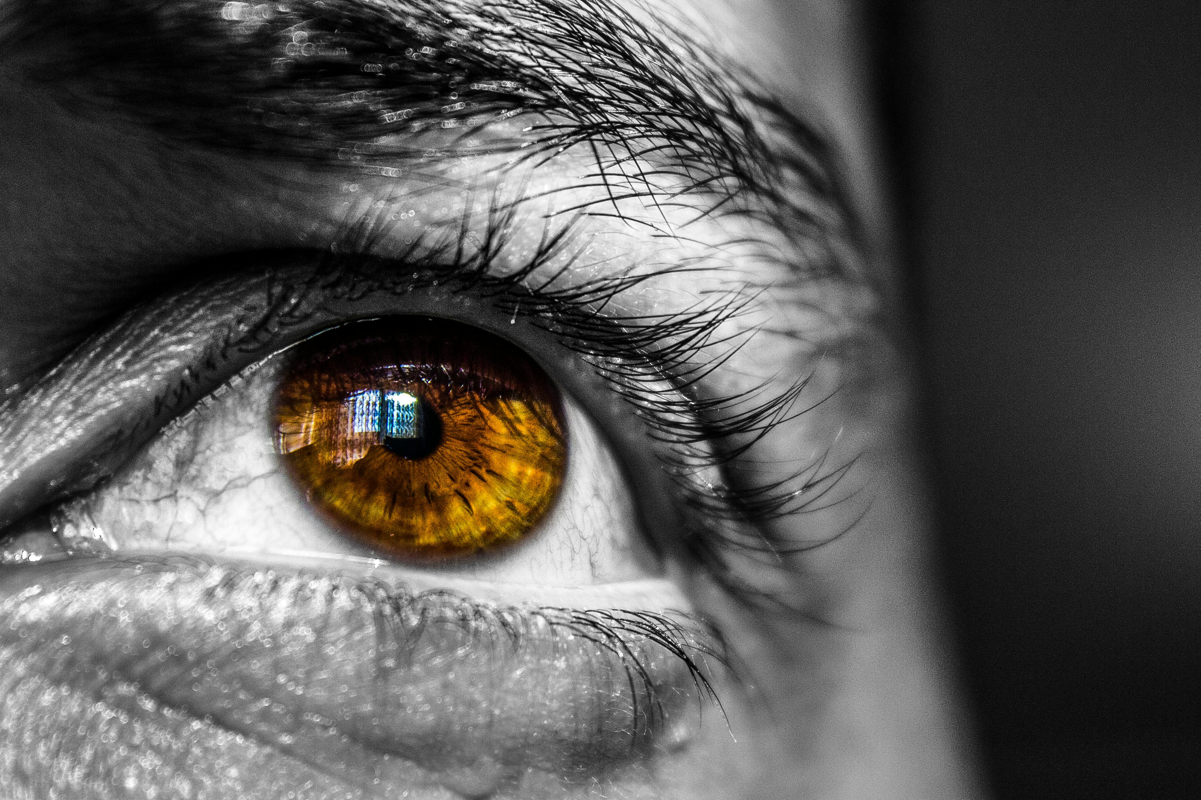 Our Vision Image